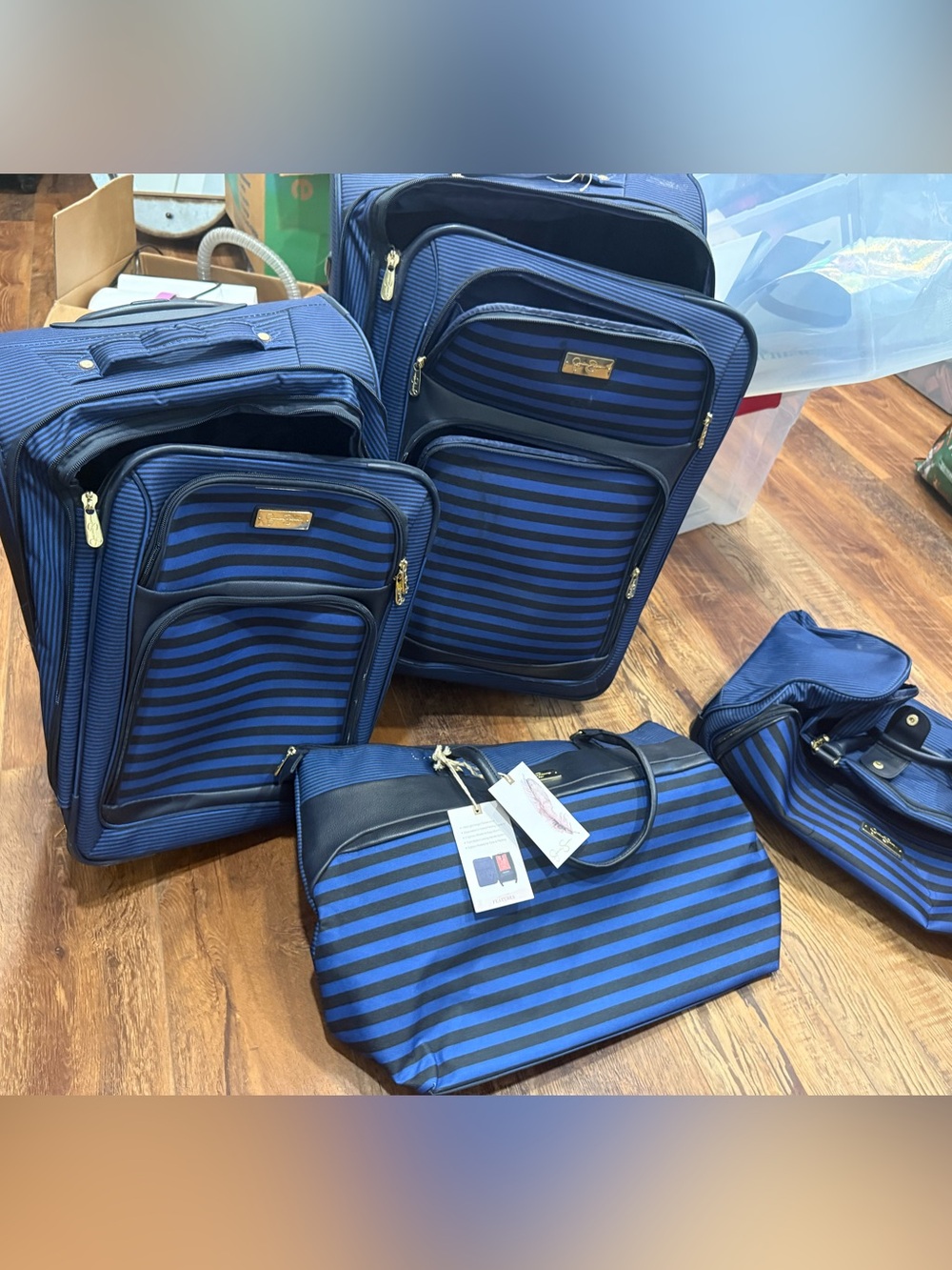 Blue Striped Travel Luggage Set - Jessica Simpson